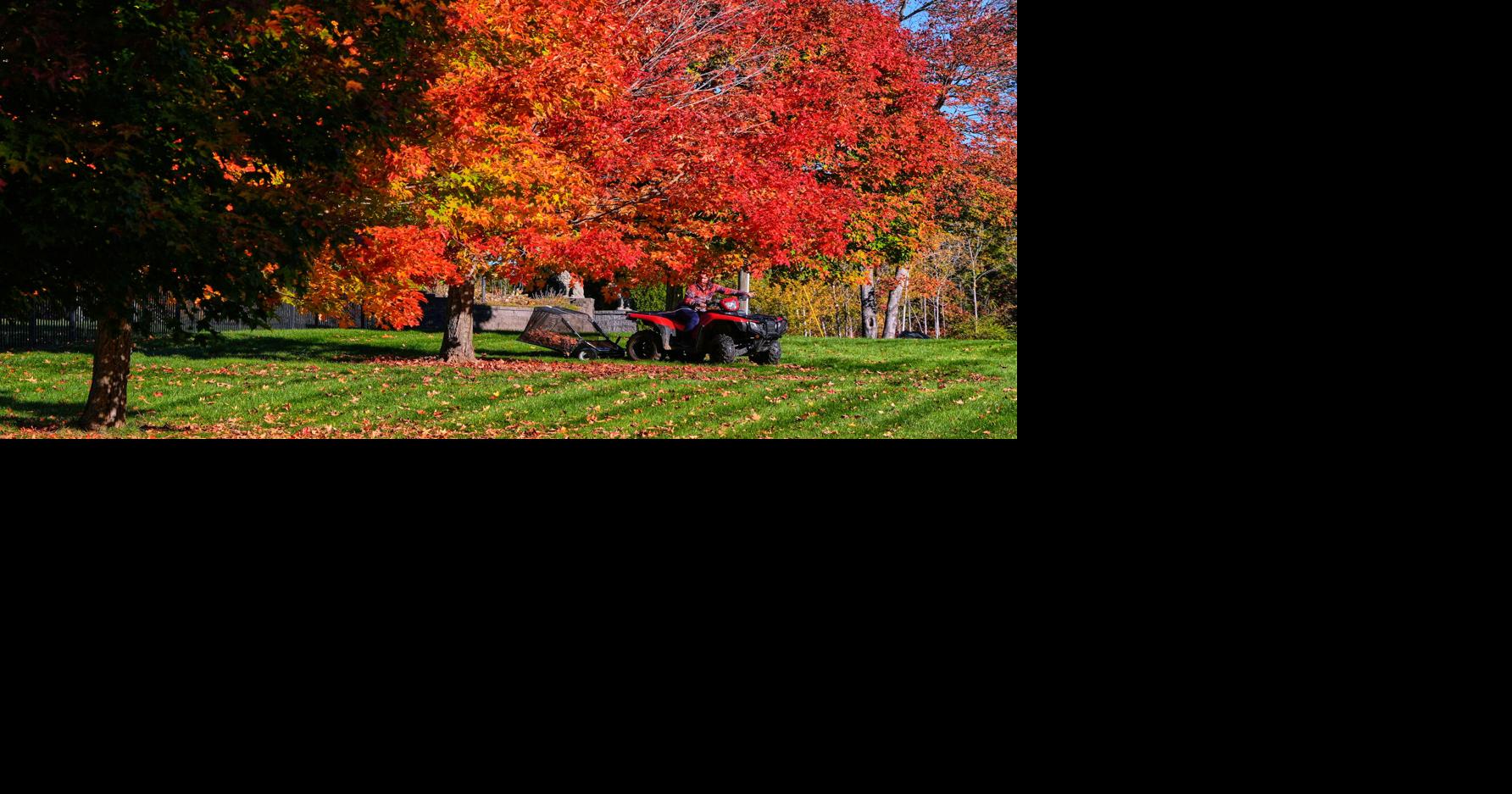 Fall Foliage New Hampshire