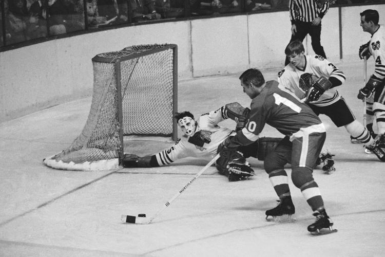 Red Wings Delvecchio Hockey Obit