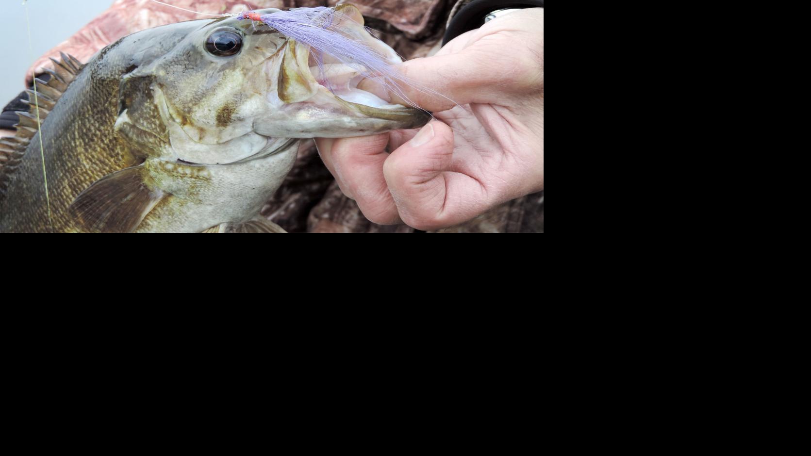 Peck Bucktail Streamer Can Be A Rock River Walleye Killer Sports Gazettextra Com