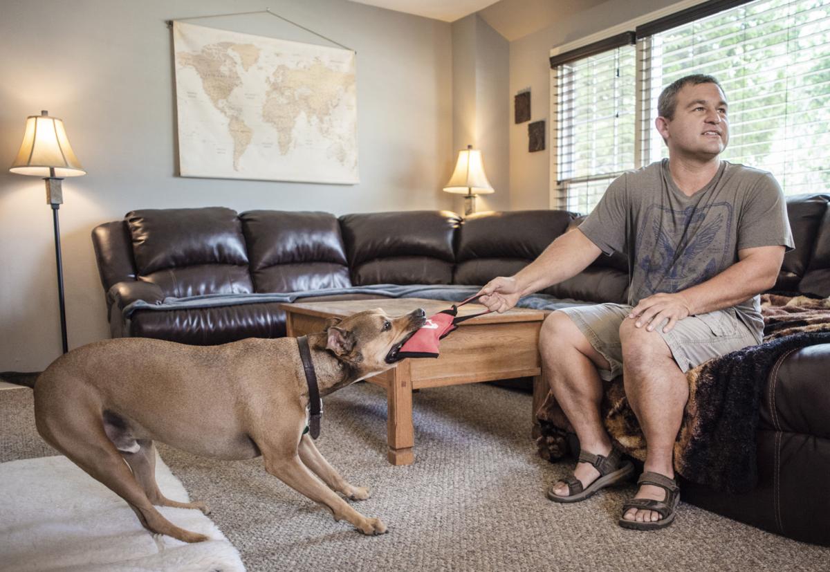 Pets on Prozac Drugs for humans help furry friends Local News