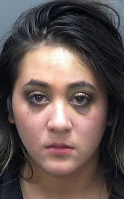 Janesville Woman Arrested On 4th OWI Charge | Crime | Gazettextra.com