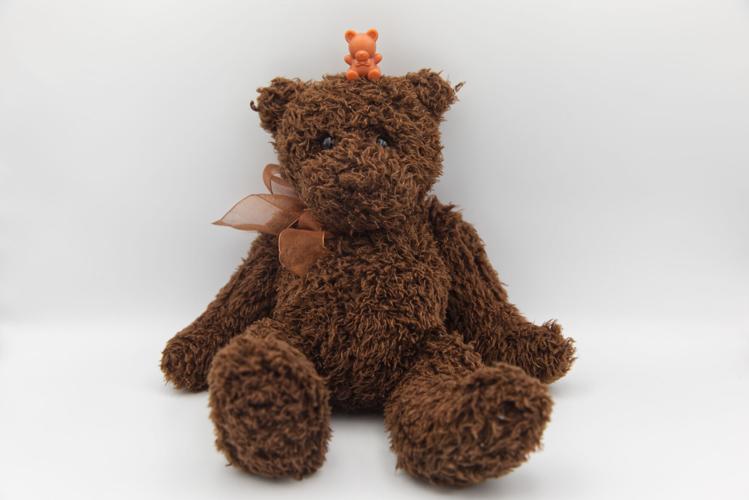 America 250 Objects Teddy Bear