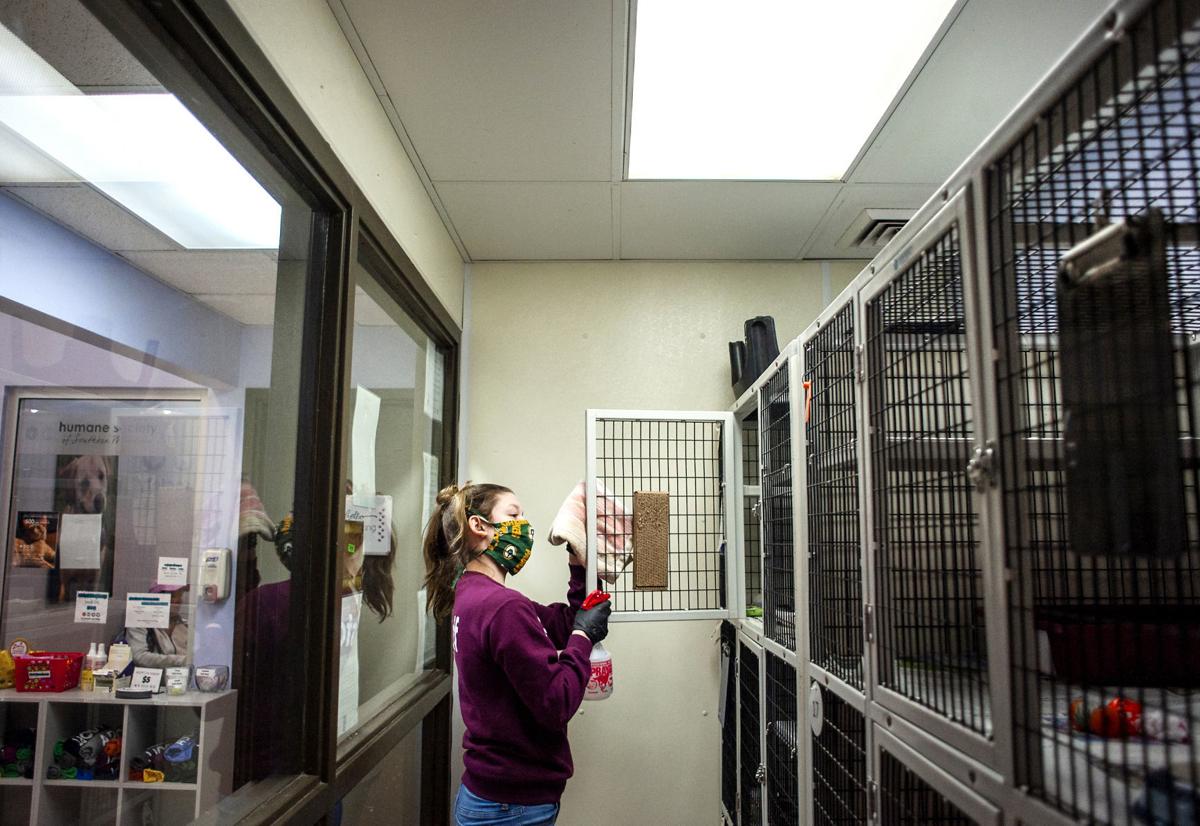 Pandemic Fuels Interest In Pet Adoptions Business Gazettextra Com