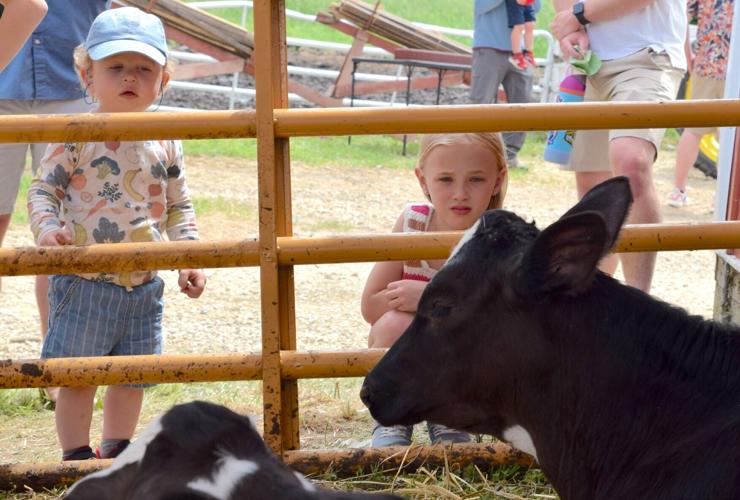 Dane County Breakfast on the Farm draws thousands on beautiful June day