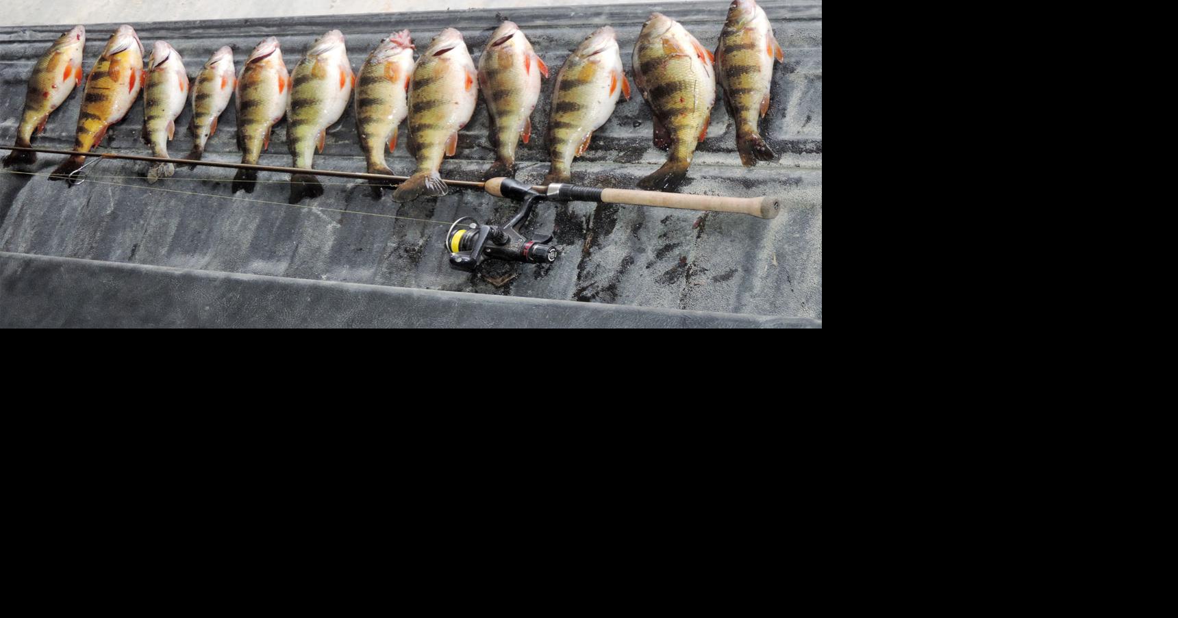 Peck: Hook, line and sinker produces plenty of smiles | Sports ...