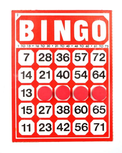 Red Bingo Card