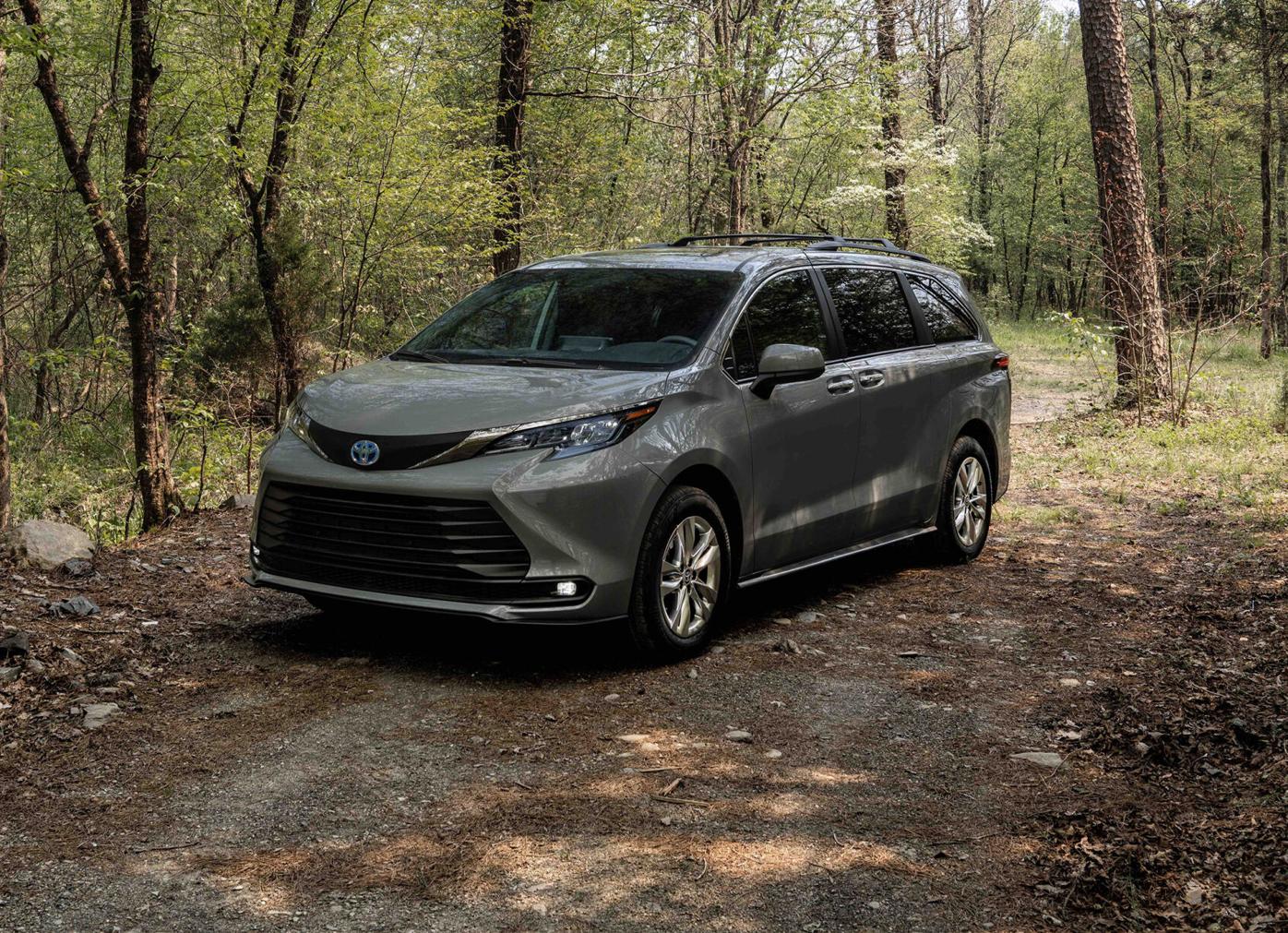 Porno bumblebees kuchli orgazm