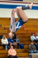 Vlogý Craig gymnasts defeat Parker in cross-town dual