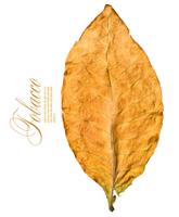 Dry Leaf