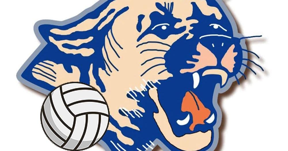 Volleyball: Craig goes 4-1 at Watertown Invite