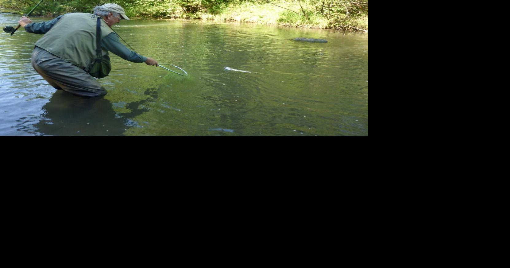 I fish trout (copy)