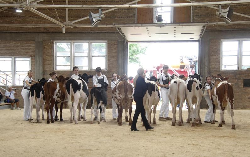 Rock County 4-H Fair