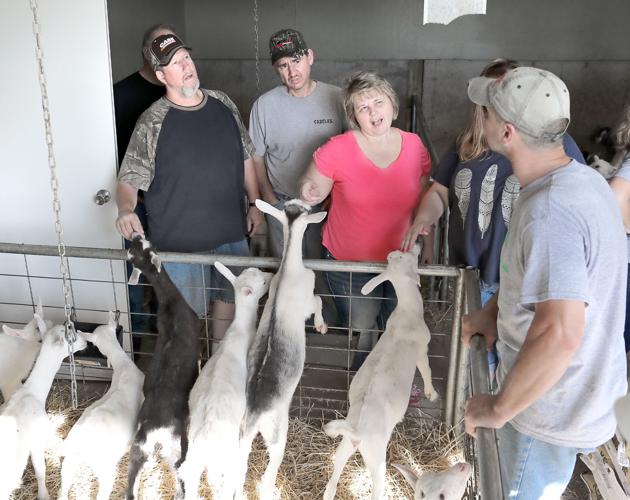 Curious goats Walworth County Dairy Breakfast visitors