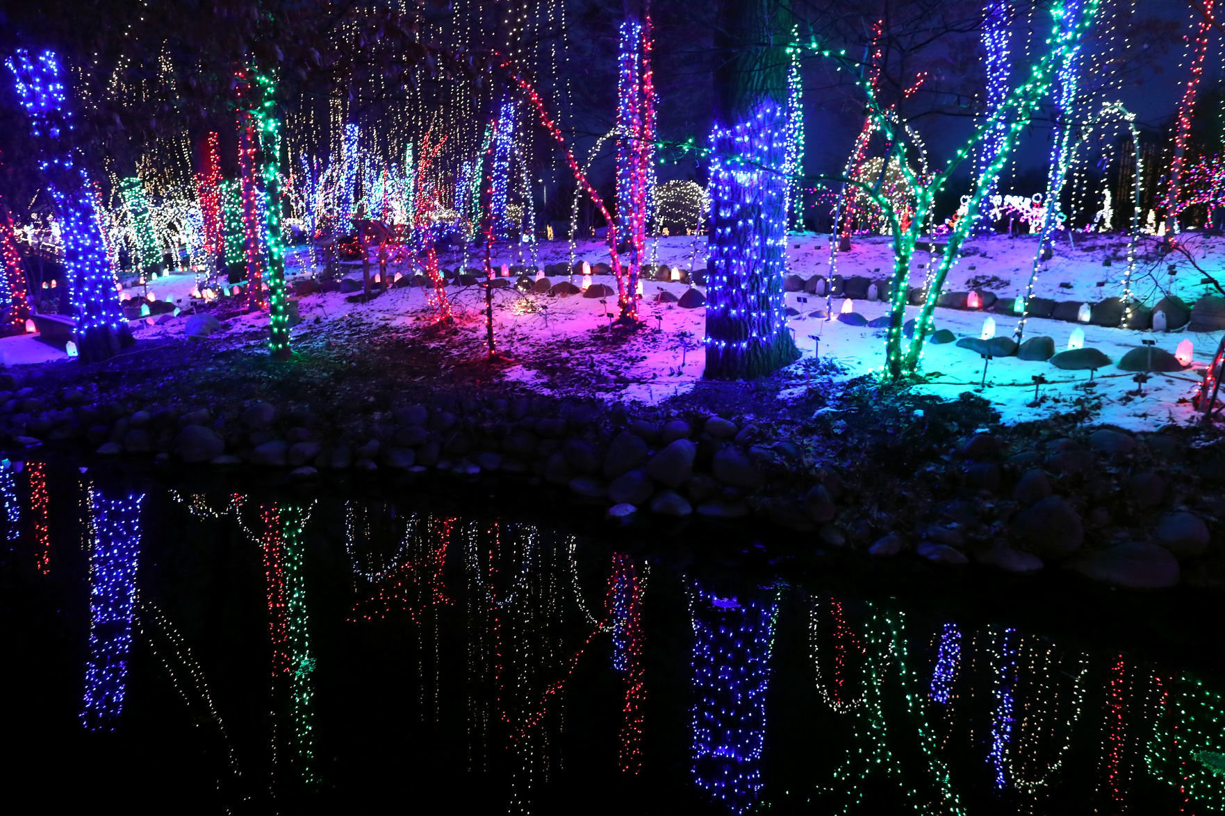 Holiday Light Show Presented By Rotary Botanical Gardens