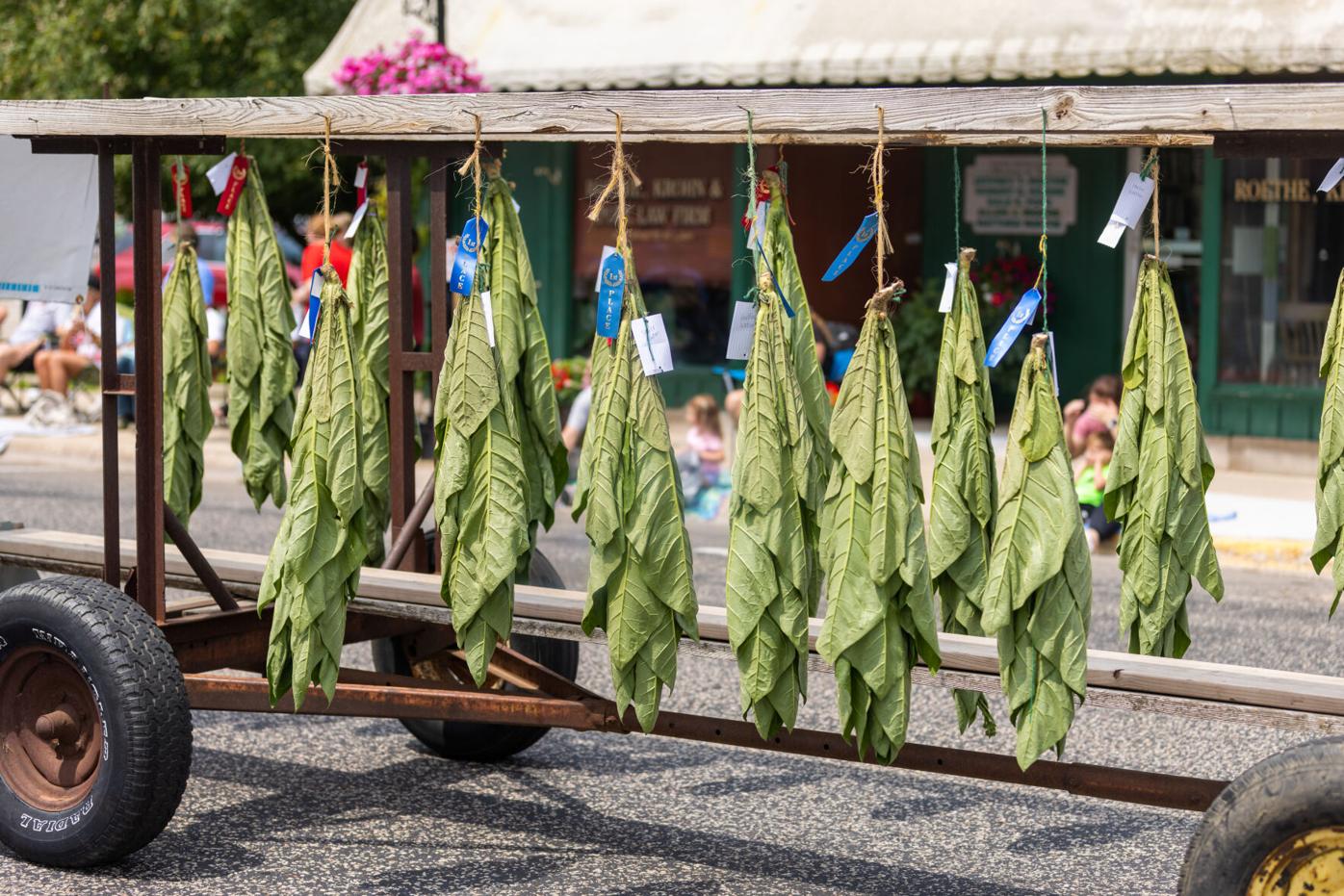 tobacco days edgerton wisconsin Edgerton Tobacco Heritage Days begins Friday | Local News