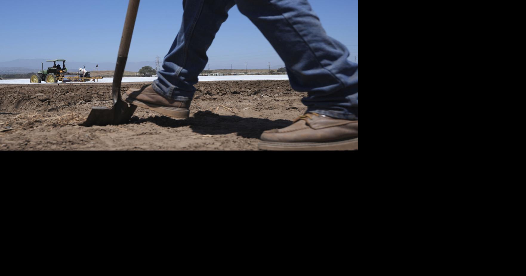 New year, new rules: U.S. Department of Labor changes up how migrant farm workers are paid