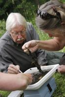 Volunteers train to monitor stream health