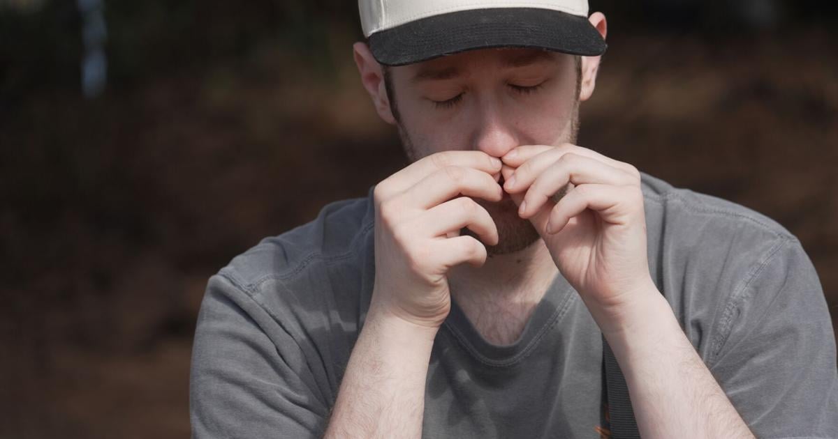 US Forest Bathing - GazetteXtra — source Rainforest & Nature (Google News)