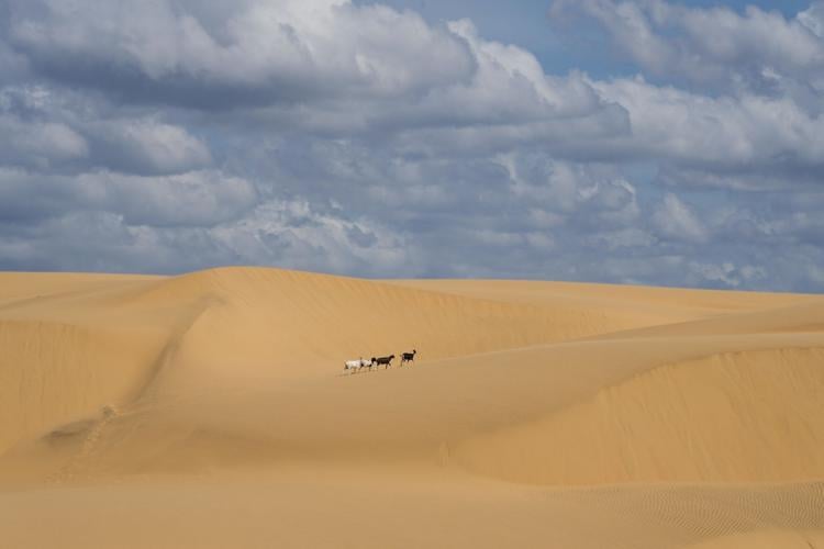 Venezuela Coro Dunes