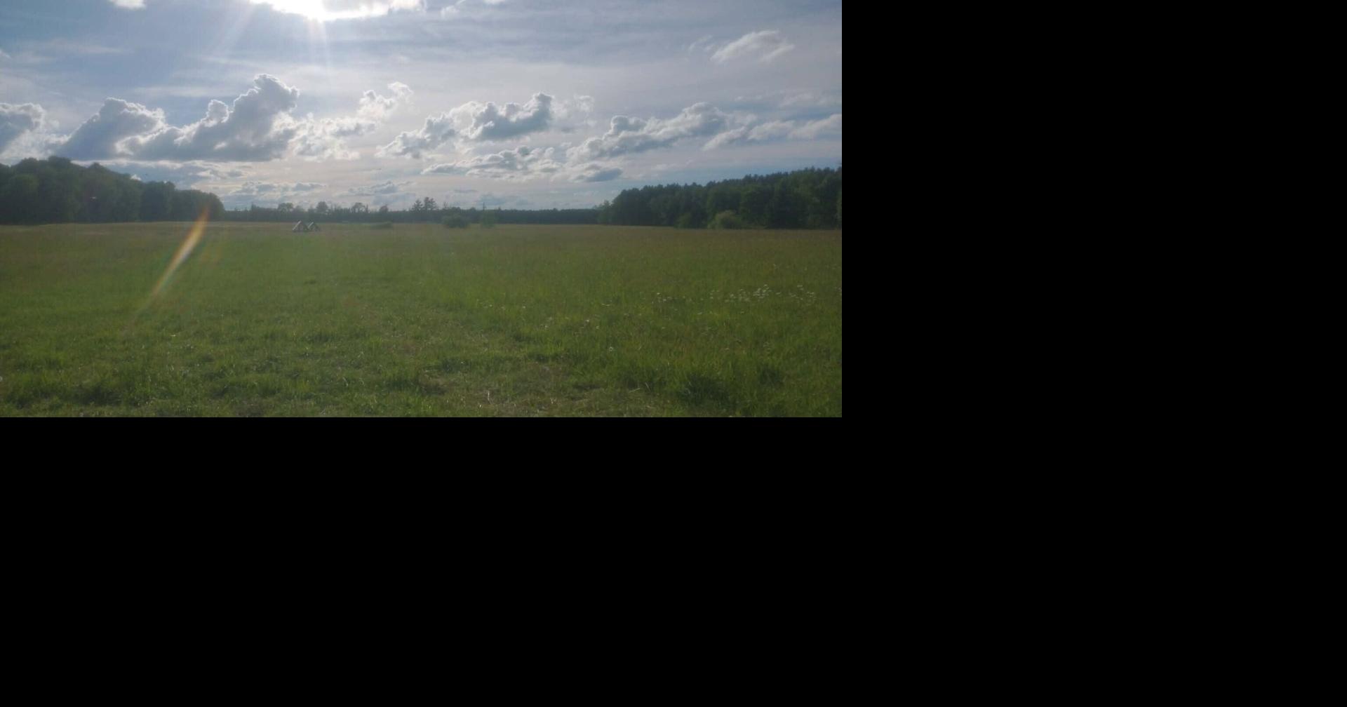 Down on the Farm: Blessed sound of rain