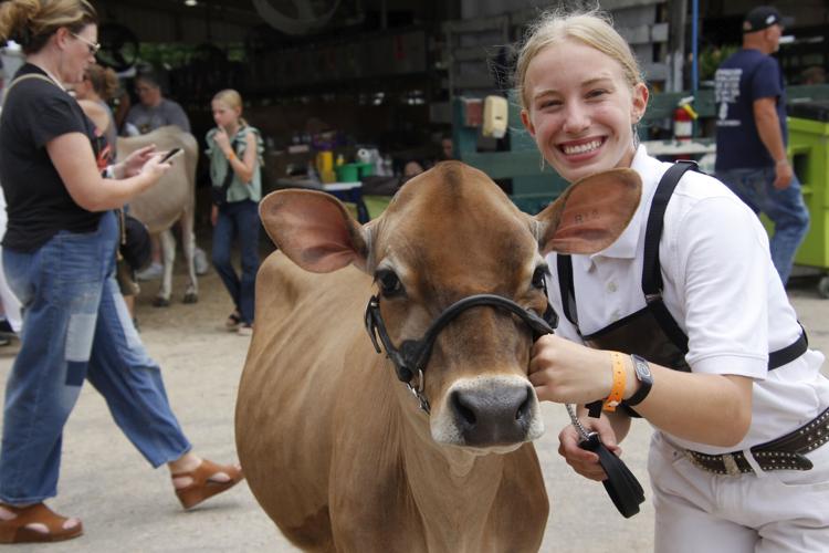 Rock County 4-H Fair