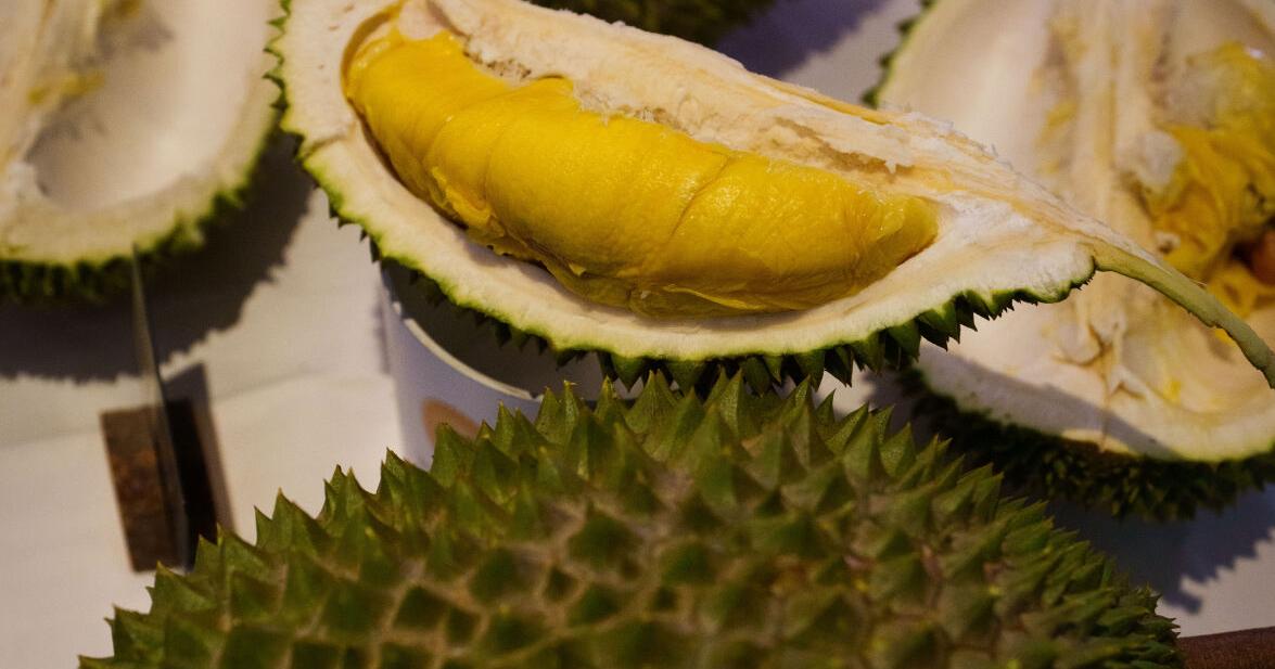 Malaysia Durian