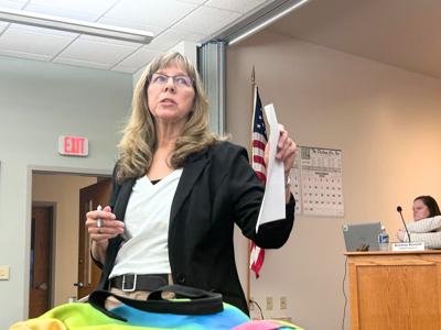 Donna Redner new Turtle board chair