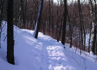 Mid-winter hikes