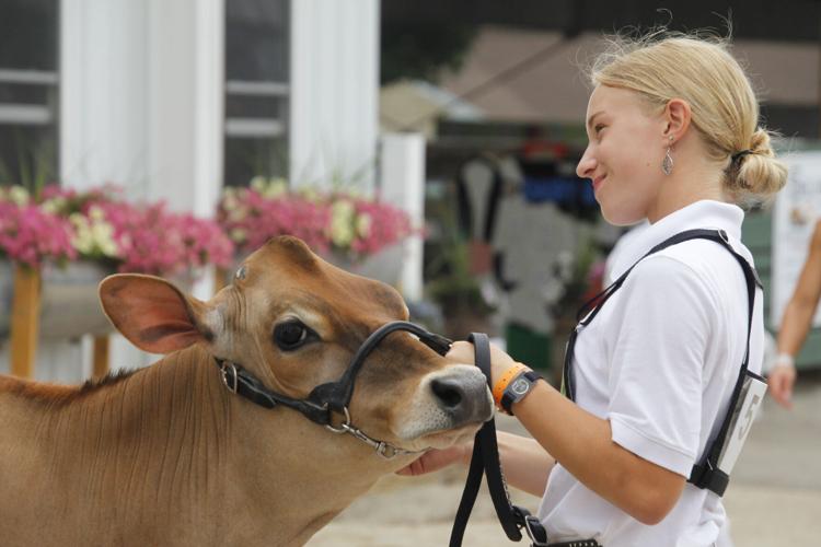 Rock County 4-H Fair