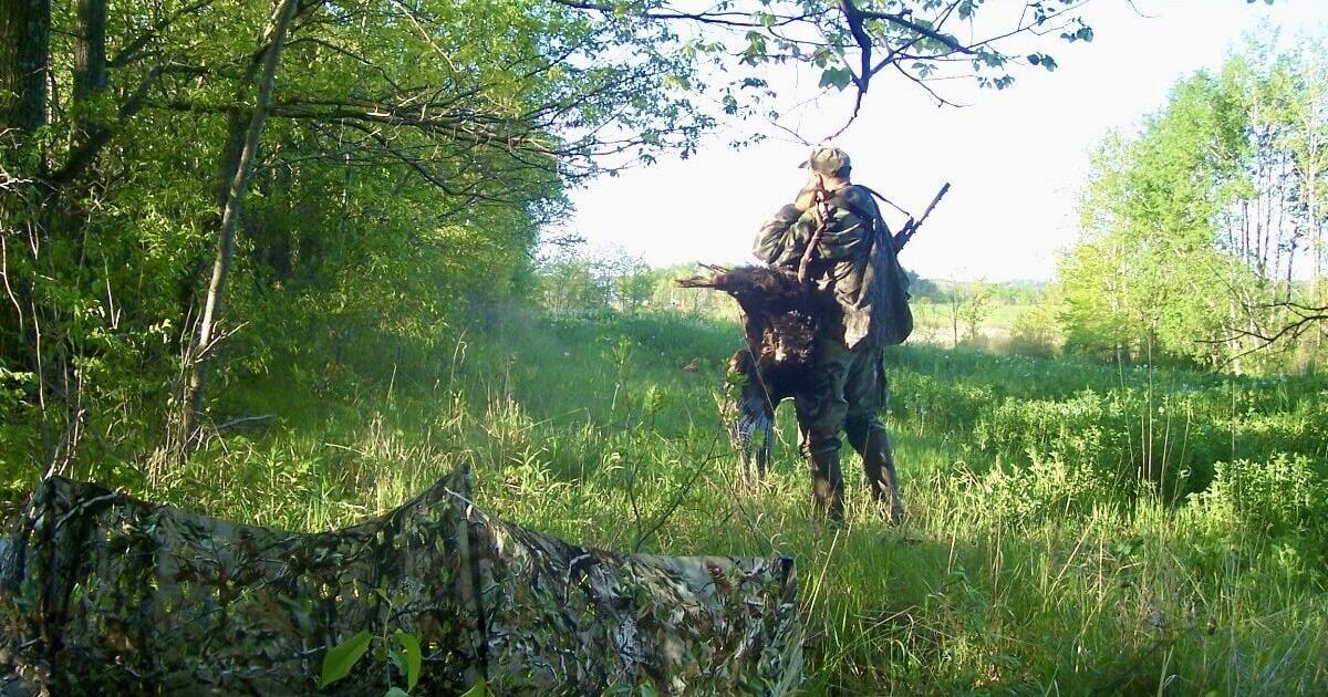 Turkey hunting - spring woods 2026