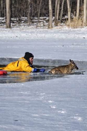 Image_20260203_114025_004.png