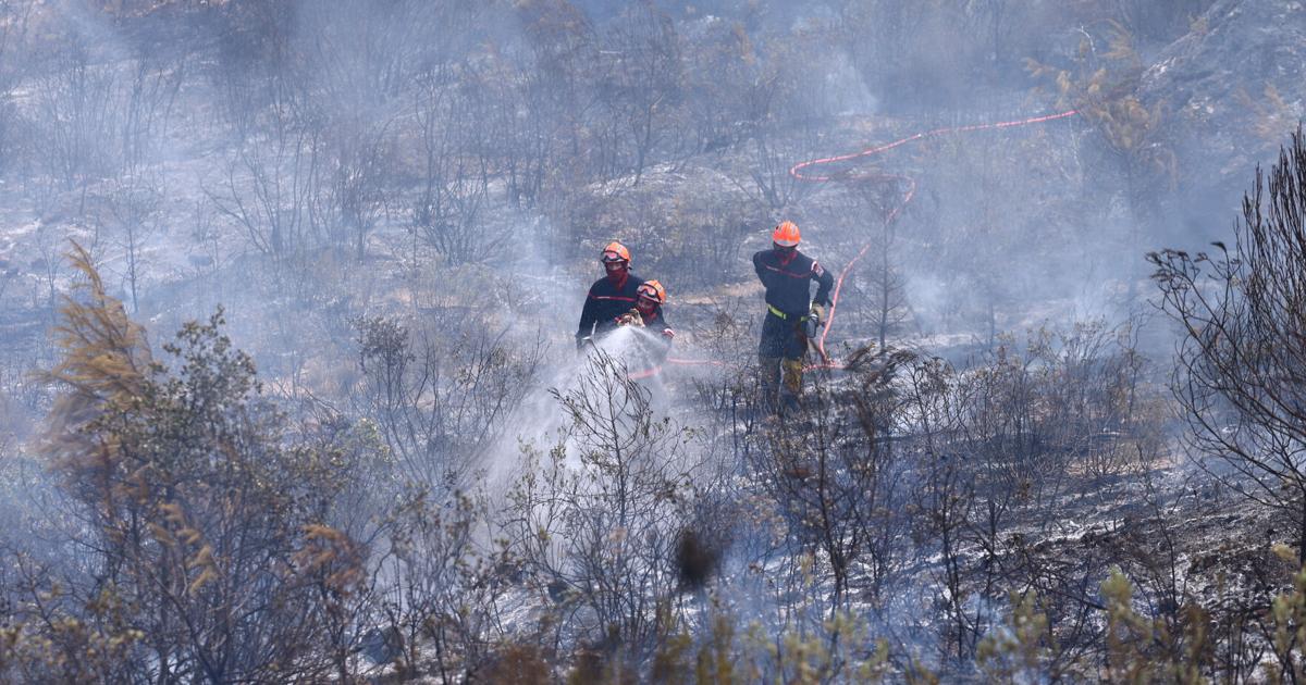 Europe Wildfires