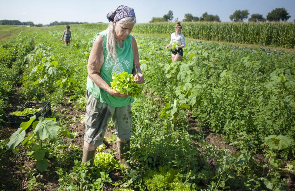 Community-supported agriculture seeks outside-the-box ...