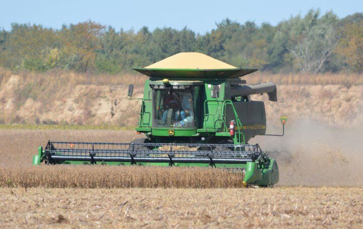 Dry harvest season