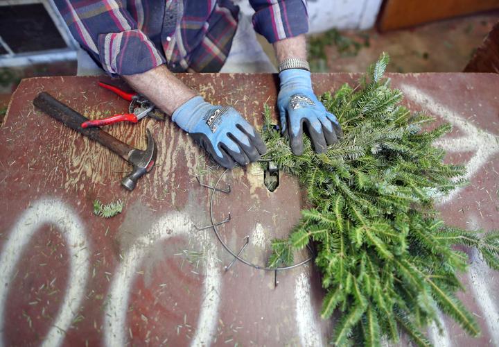 Christmas tree lot is a tradition for many in Janesville Business