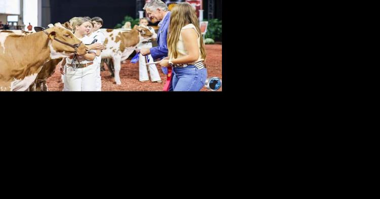 Rock County residents take honors at World Dairy Expo - Vimarsana News