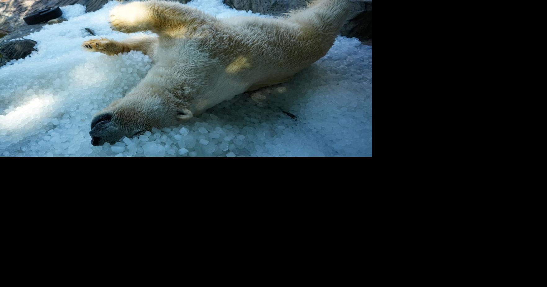 APTOPIX Czech Republic Extreme Weather Heat