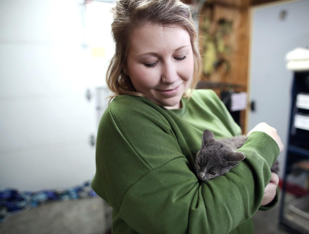 Kadlec Ranch Rescue In Business Of Saving Kittens Local News