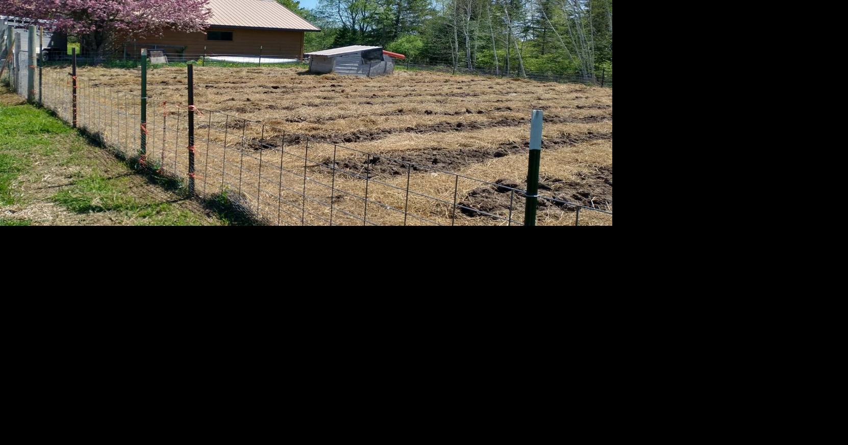 Down on the Farm: Earthworks days