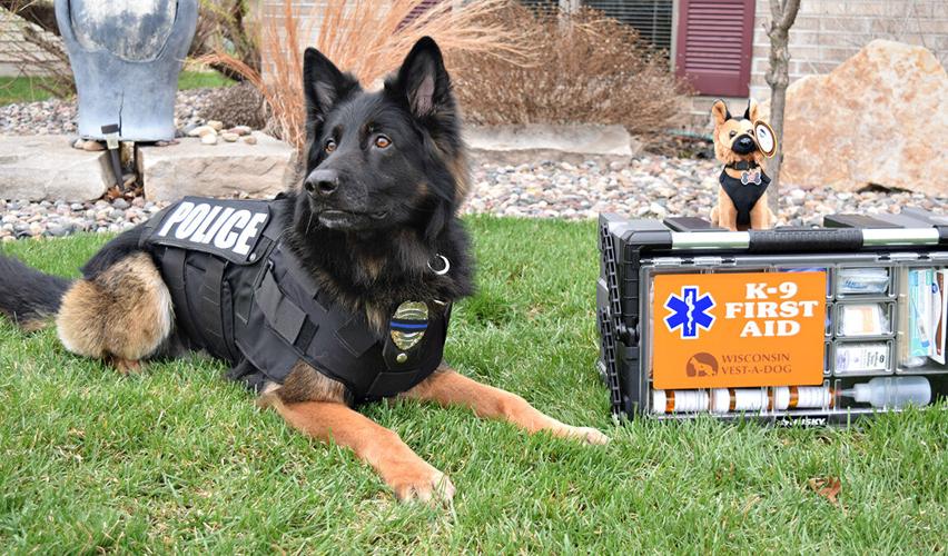 Wisconsin Vest-A-Dog
