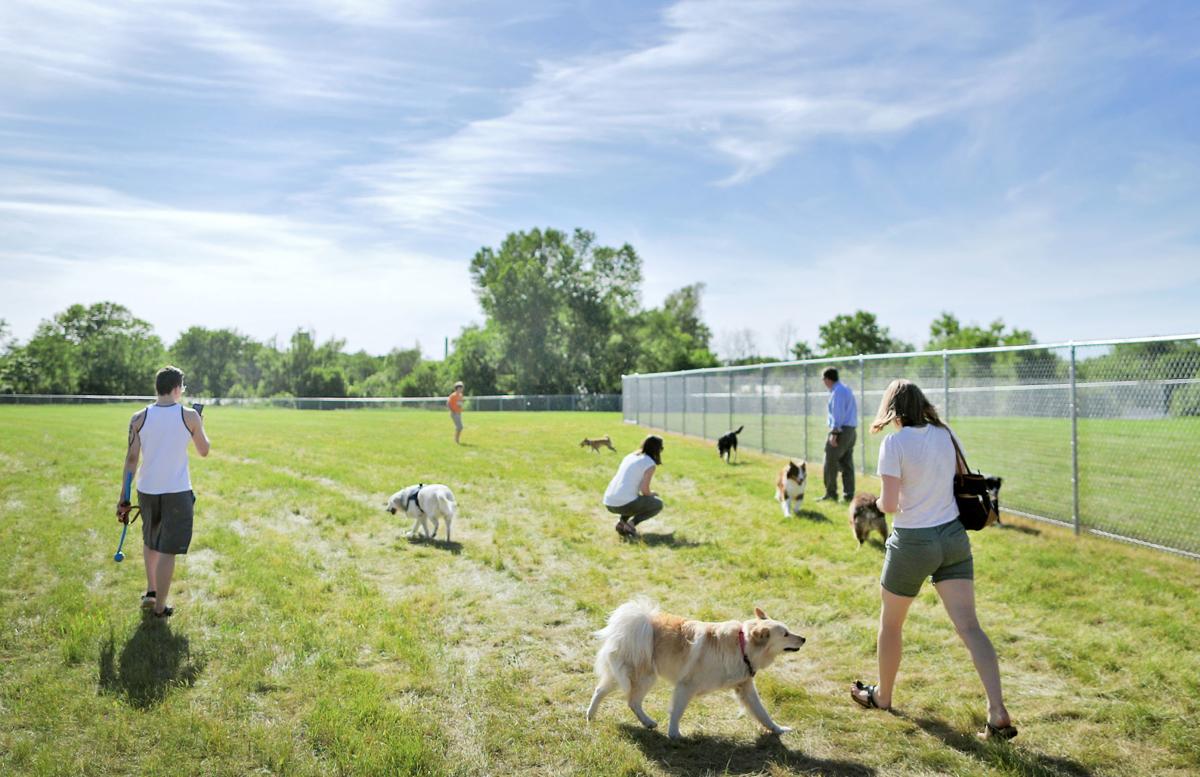 Boomerang effect Visitors to new Whitewater dog park will be back Government
