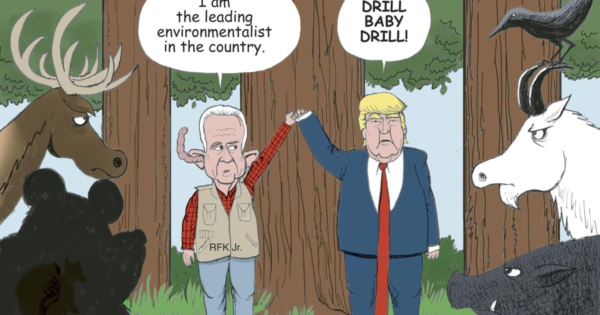 Cartoon Drawing Rfk Jr RFK Jr. endorses Trump | Political cartoons | gazettextra.com