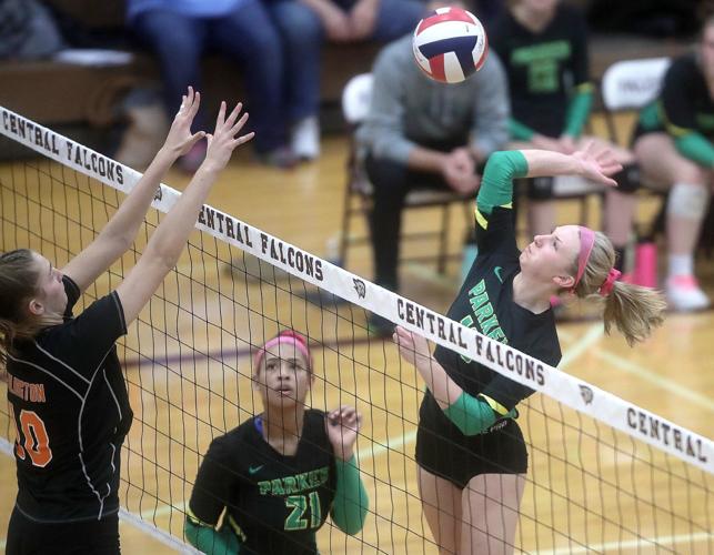 Janesville Parker places three on The Gazette's AllArea Girls