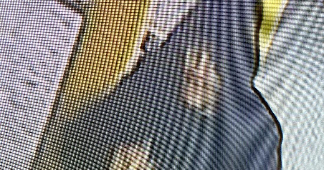 Janesville police looking for suspect in early-morning convenience ...