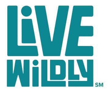 Live Wildly Releases Study to Help Florida Communities Save Millions While Building Wildlife Crossings that Protect People and Nature