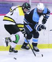 Janesville Bluebirds girls hockey team opens at Mercyhealth Arena under Kurt Buchs