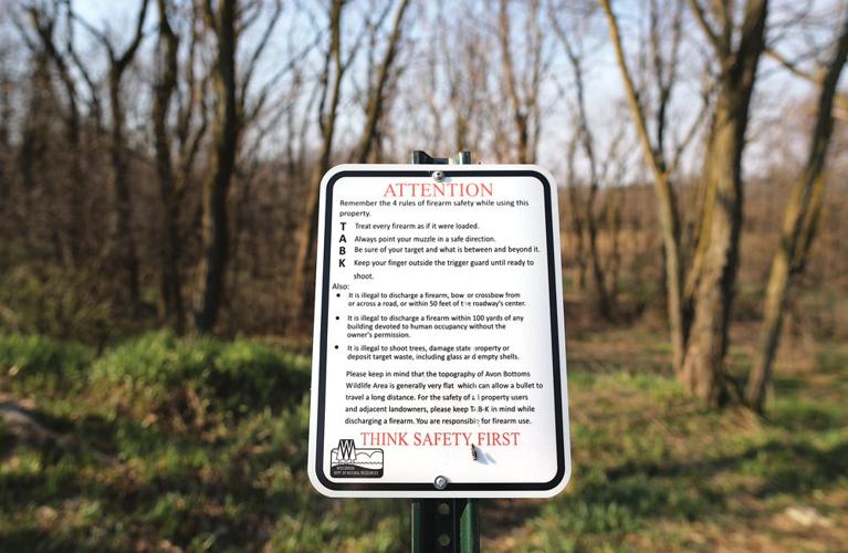 Town of Avon official wants target shooting banned on DNR land in Rock
