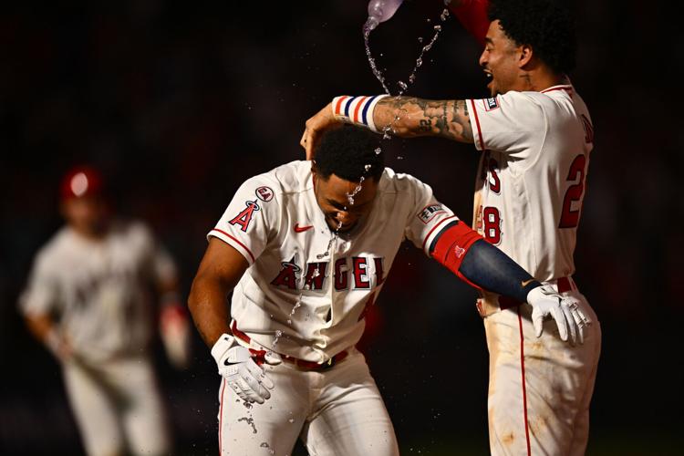 Twins Angels Baseball