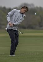 Boys golf: Cougars' Alex Falligant takes Tri-City crown