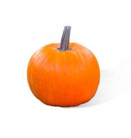 181114PUMPKIN